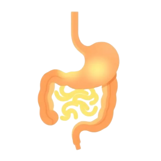 Lebasi for infants and children — gentle nutrition for growth